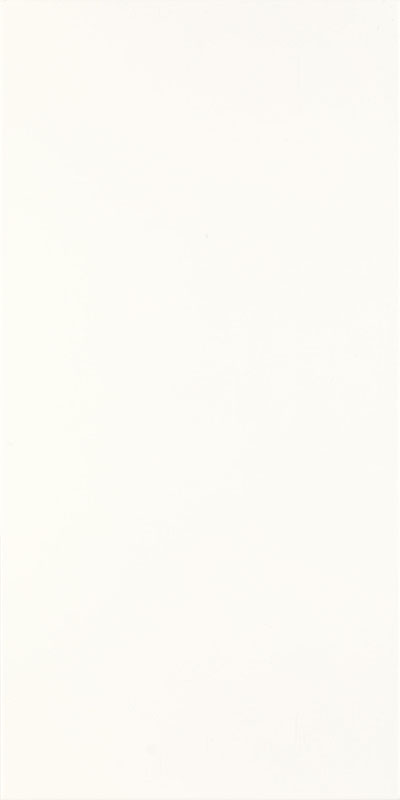 Fiori Bianco 30х60 Paradyz