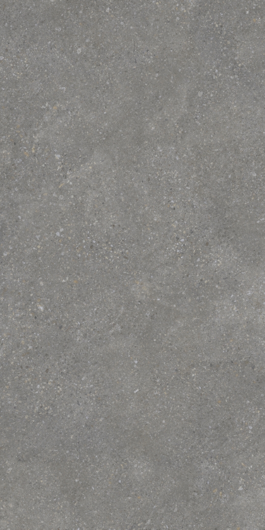 PT12F7047 Pietra Grey Matt 1200х600х9 Protiles