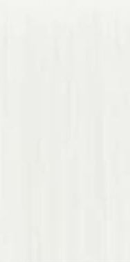 TC White Mat 60x120 Mega Tile