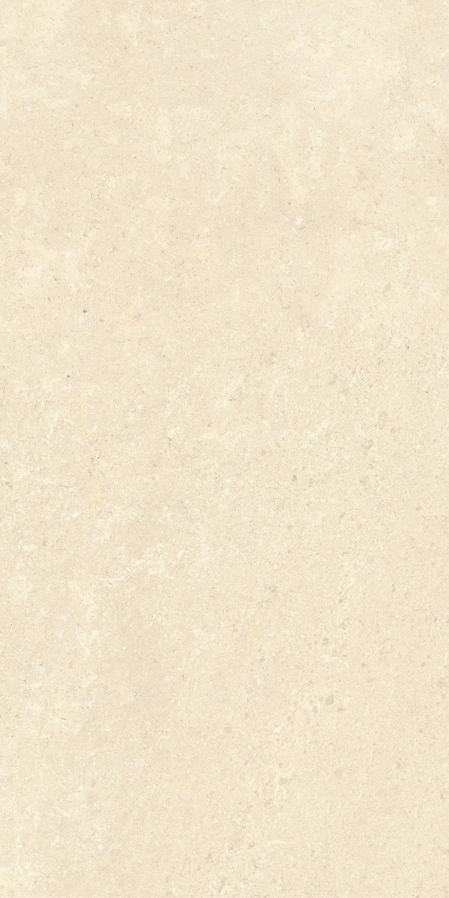 K948598R0001VTER SandStone Песочный Матовый R10A Ректификат 60х120 Vitra