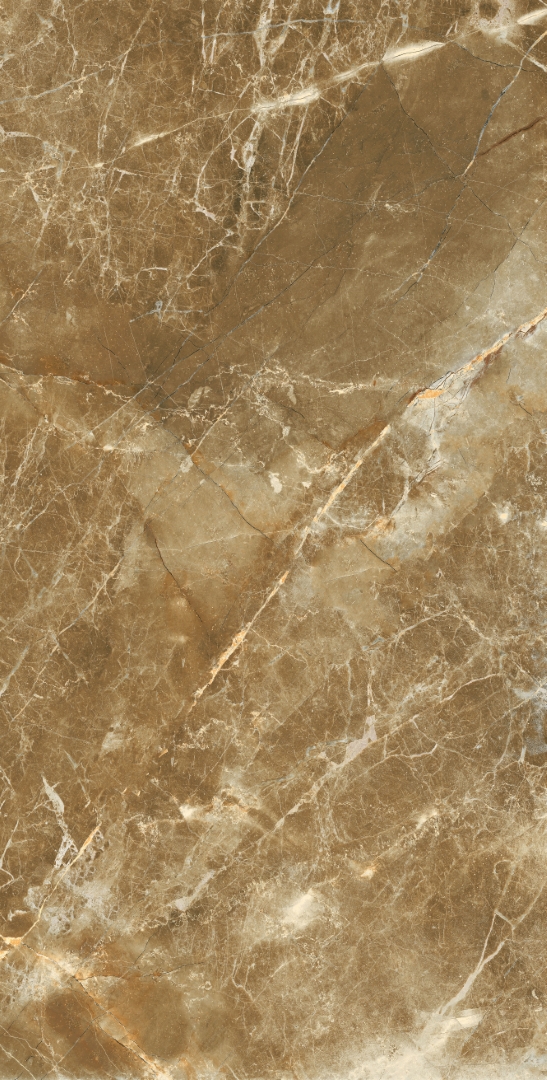 Zanetta Moka Glossy 60x120 Modern Tile