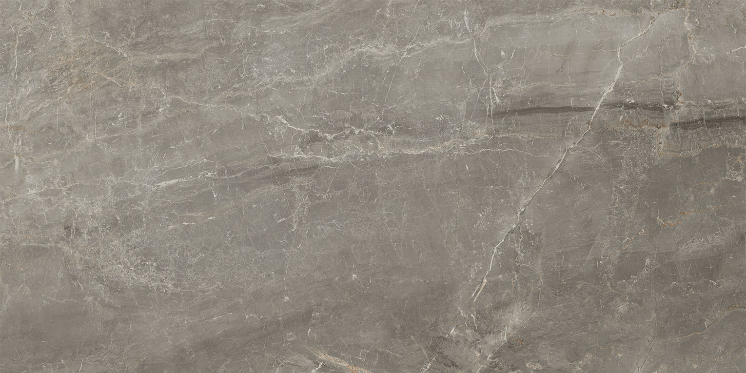 83331 Sybil Silver Rettificato R10 60x120 Cerdomus фото 2