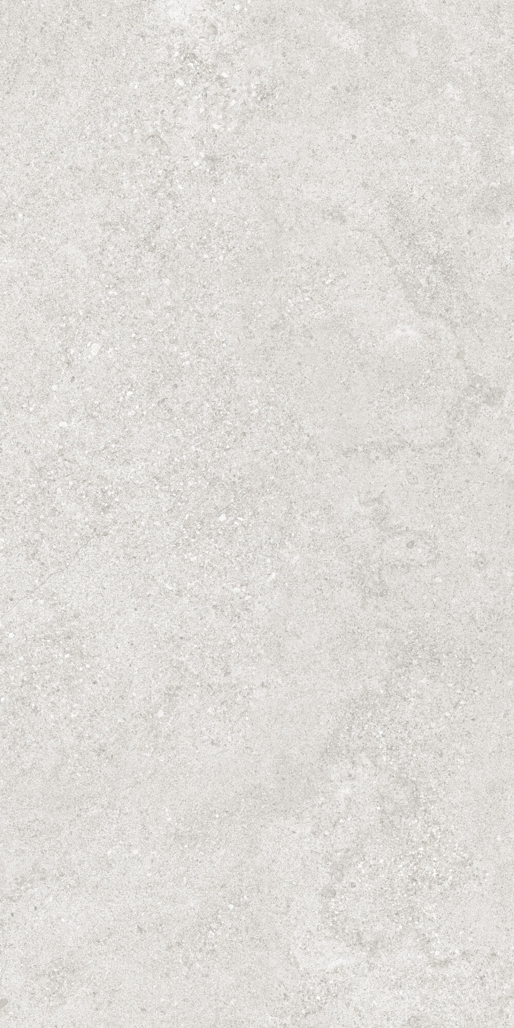 36904 Cluny Silver 4D/50X100X2/A/R 50x100 Peronda фото 3