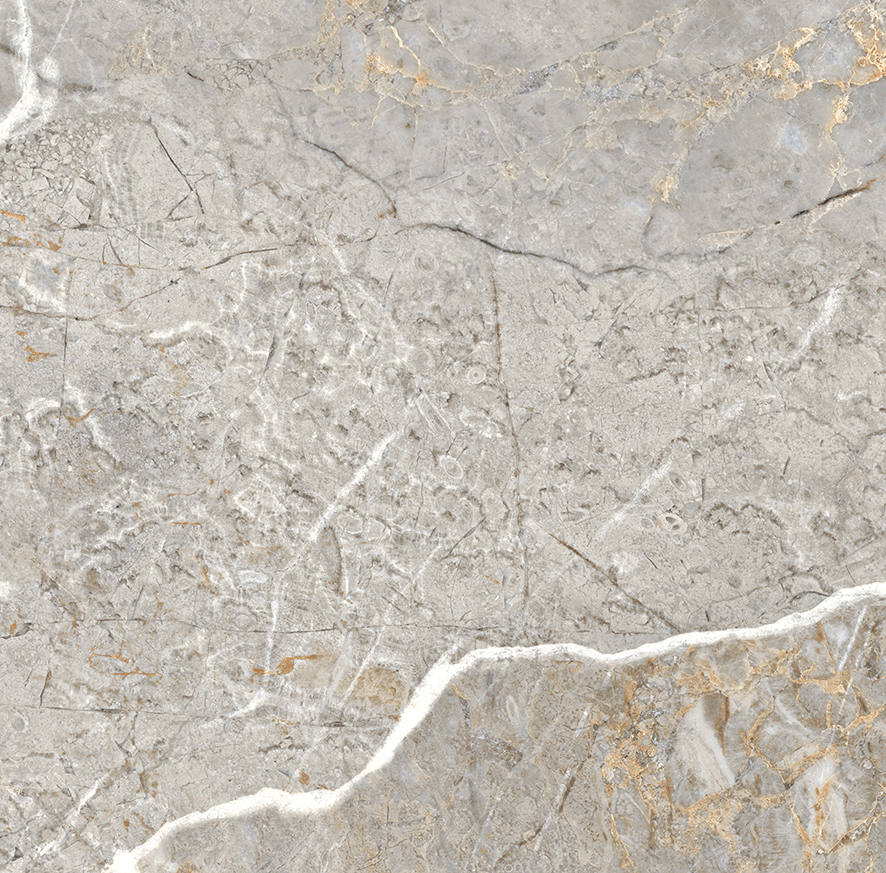 Fantastico Grey Granito Полированный 60х60 Laparet
