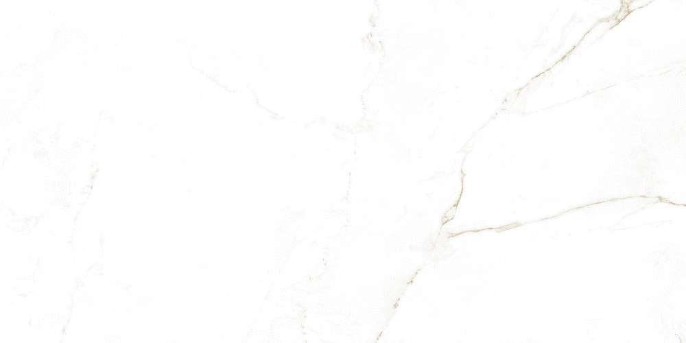 38712 Dual White NT 60x120 Peronda