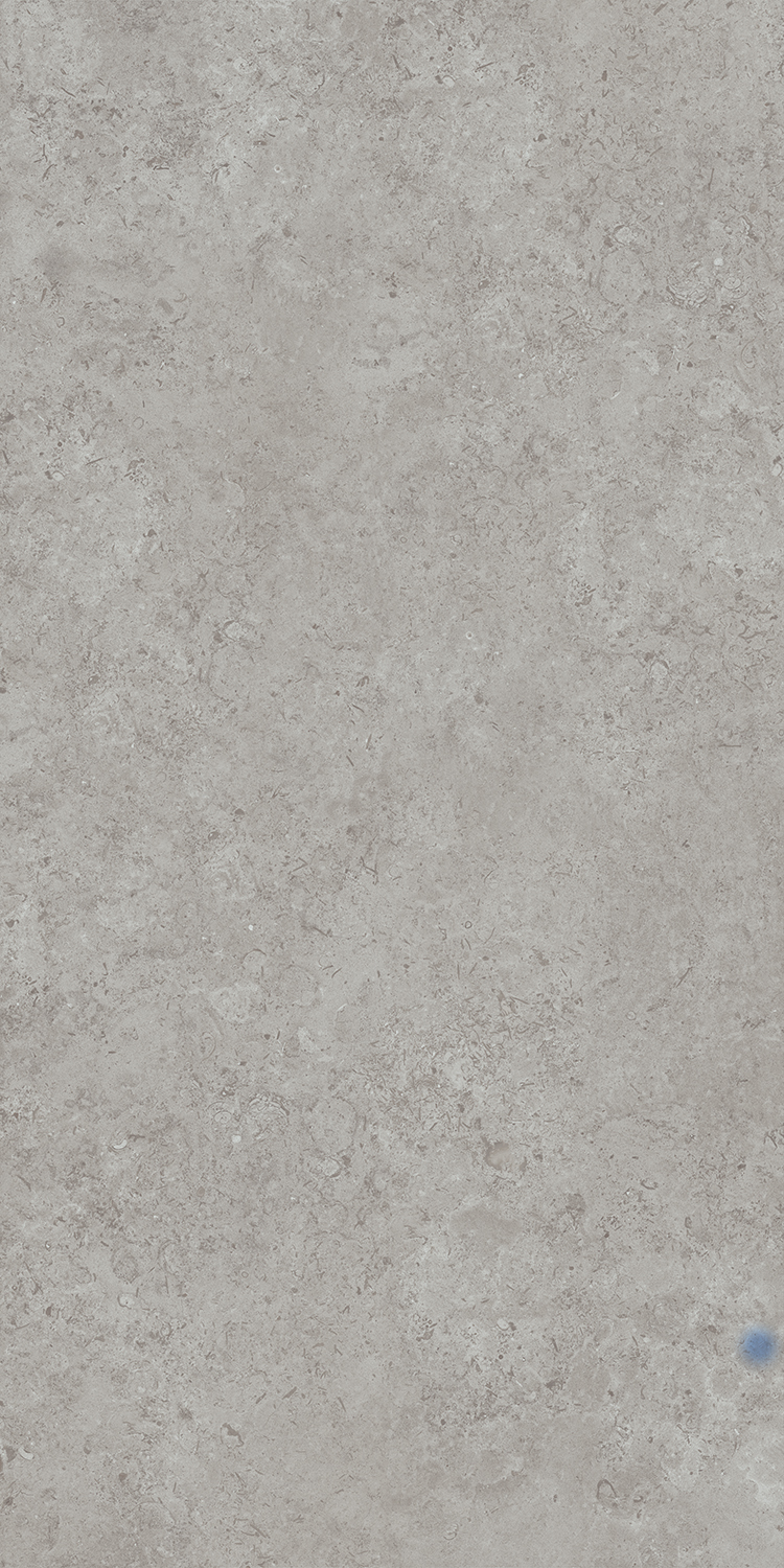 DD590600R Про Лаймстоун АТ серый натуральный обрезной R10 119,5х238,5 Kerama Marazzi