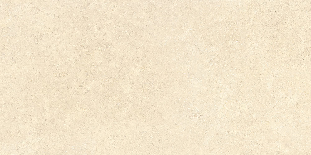 SandStone Песочный Матовый R10A Ректификат 9мм 60х120 Vitra
