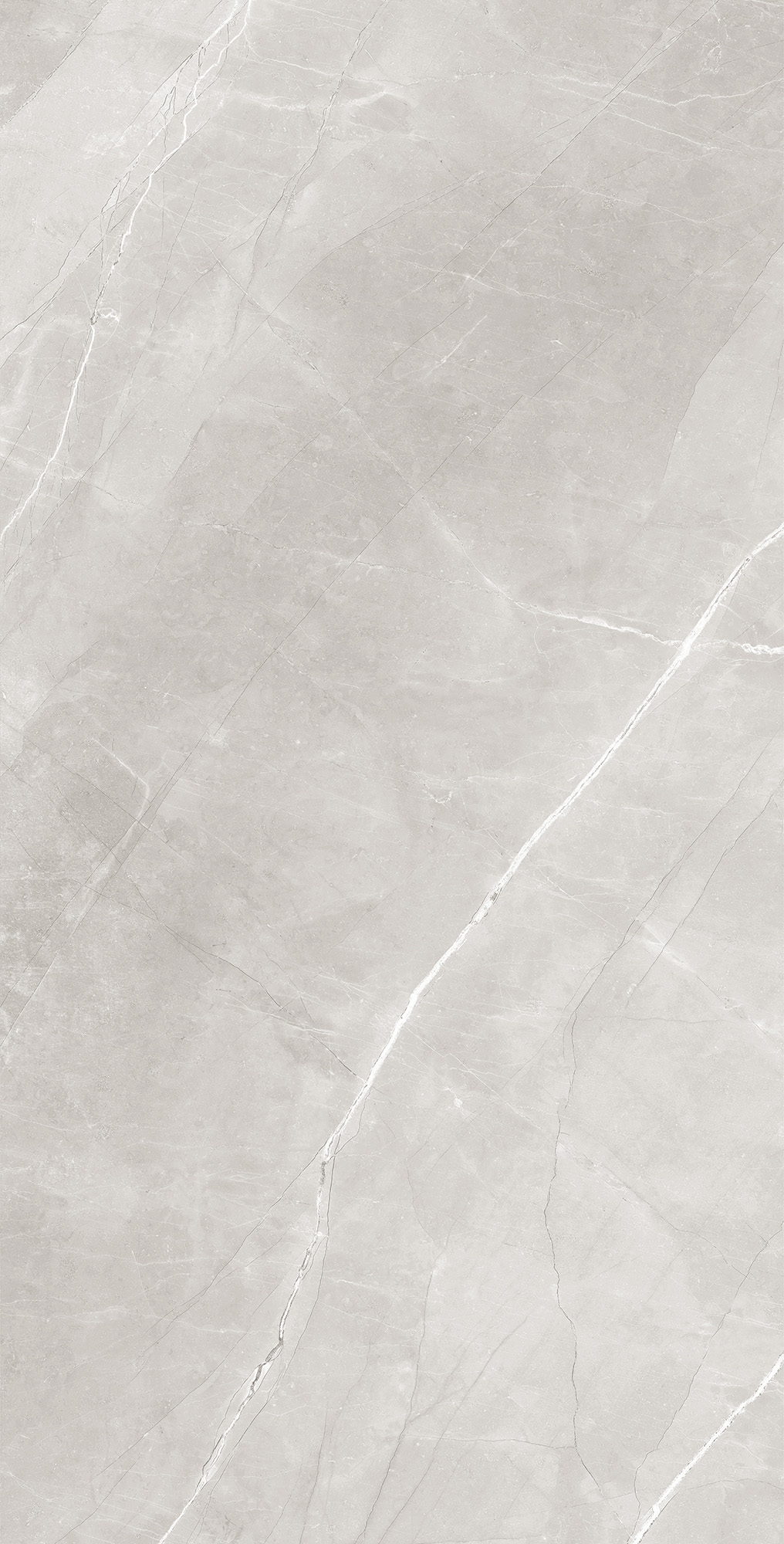 RT7013-A Armani Silver Matt Rustic 60x120 Arcadia Ceramica