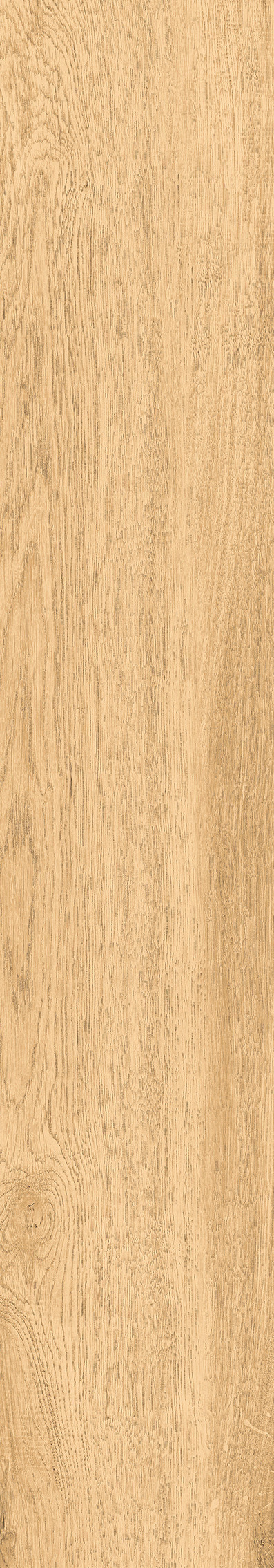 1108 Modena Honey Mate 120x20 Artcer