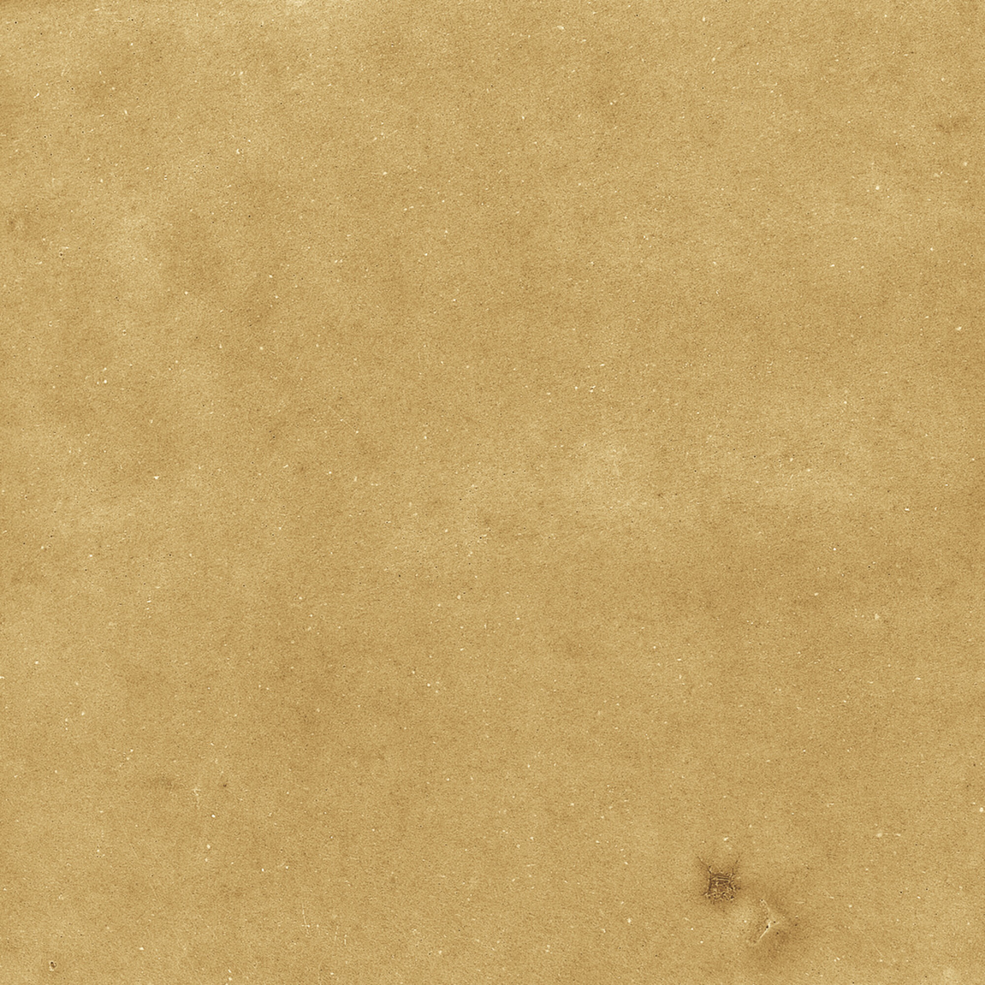 43288 Samira Gold 10x10 Harmony фото 17