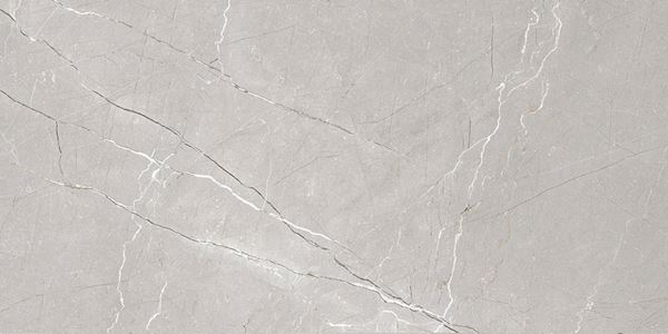 Larice Grey 60x120 Gravita