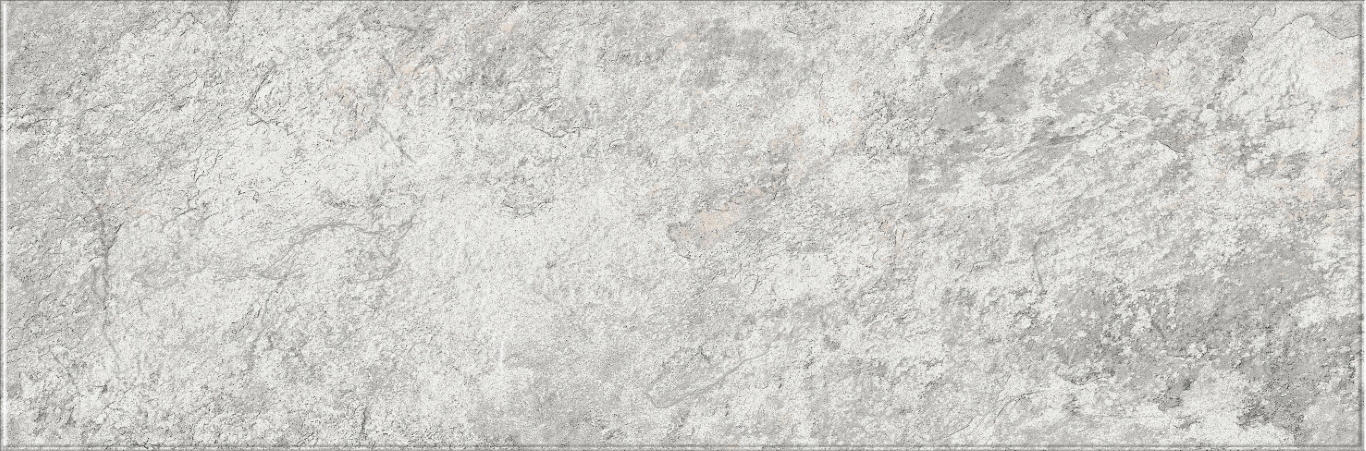 616 Image Silver 32,5х100 Eurotile Ceramica