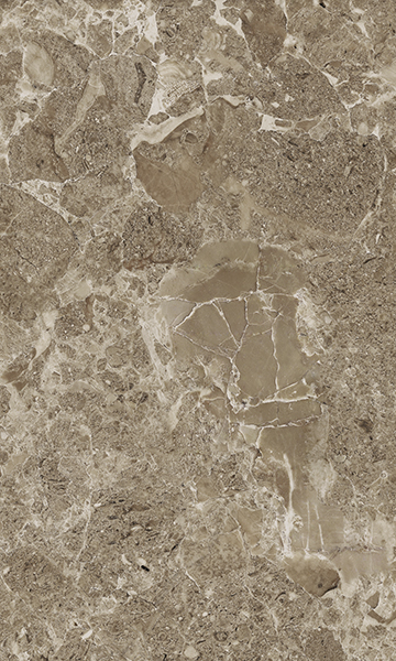 Saloni brown 02 30*50 Gracia Ceramica
