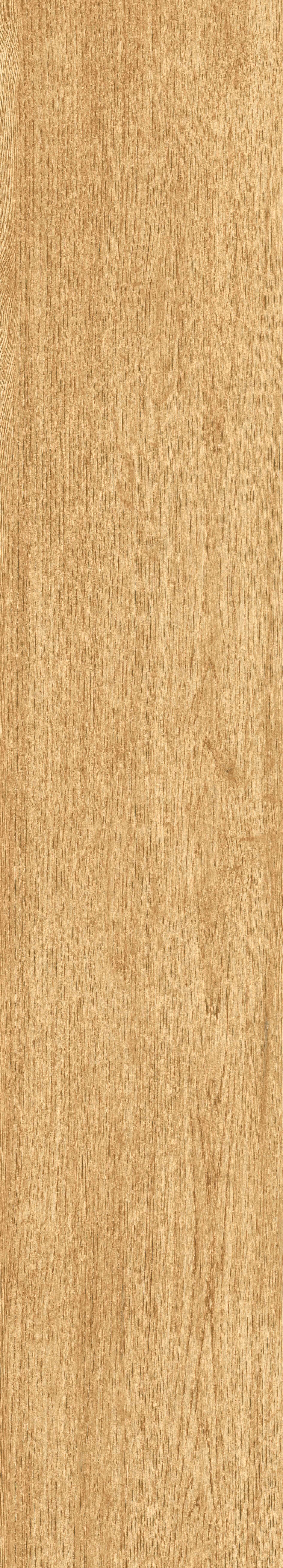 1064 Parma Honey Mate 120x20 Artcer