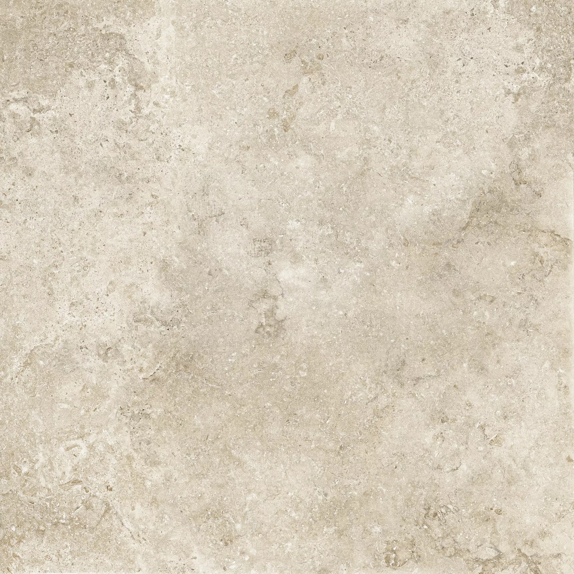 Q0H3 Colosseo Panna Opus Romano 61x61 Tuscania