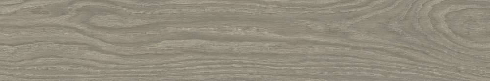 A037810 Triana Ceniza Rect 20x120 Ape Ceramica
