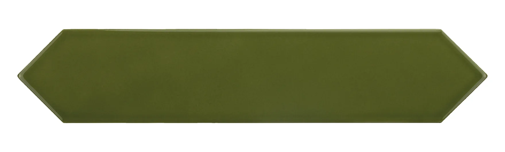 25827 Arrow Green Kelp 5x25 EQUIPE