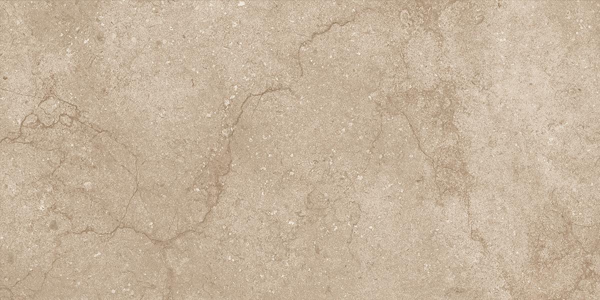 Marvel Taupe Matt 60x120 Mozart
