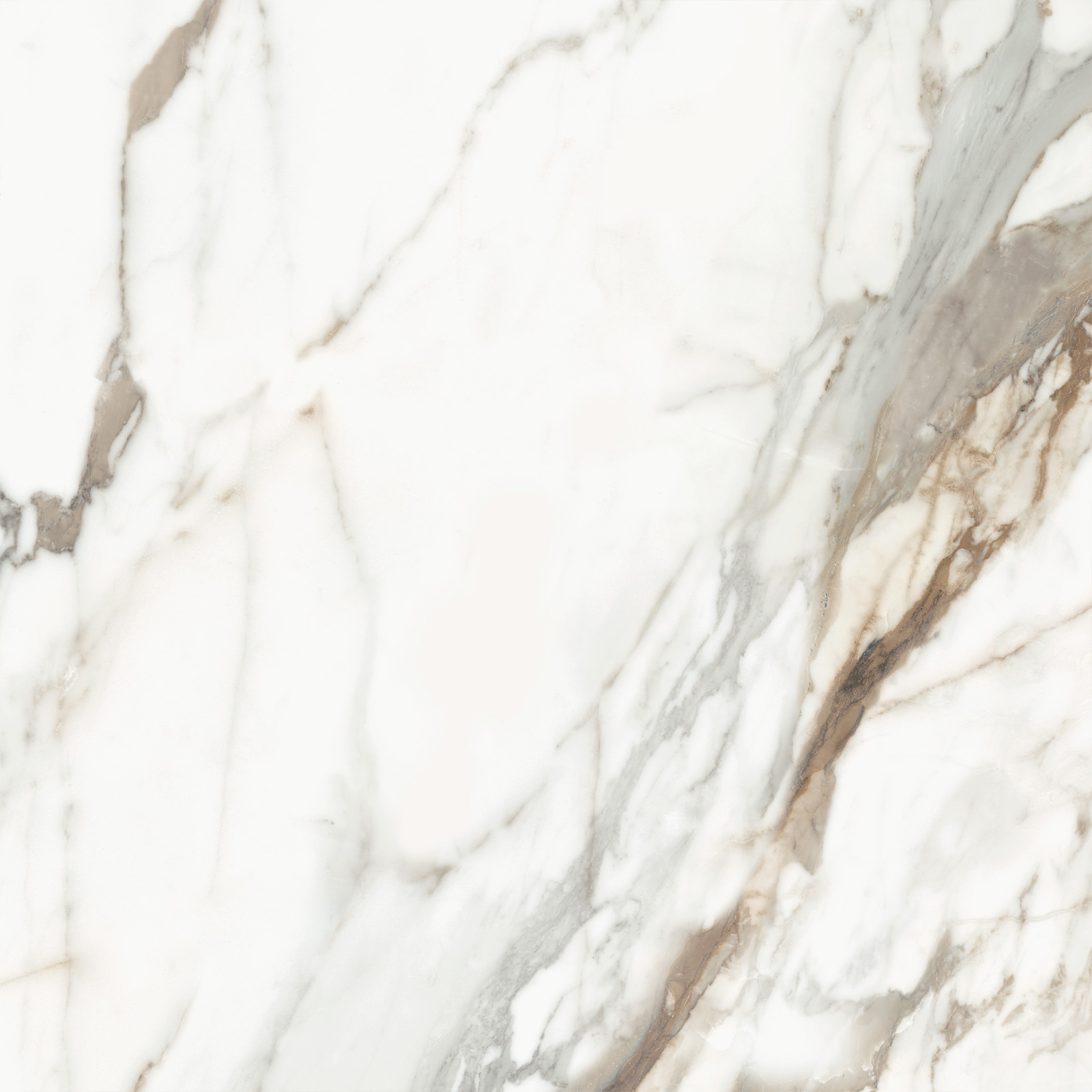 D60209M Calacatta Premium карвинг 600x600x9.5 Delacora