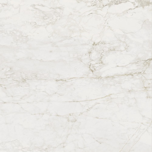 136289 Medley Prince Molato Ret 120x120 Century