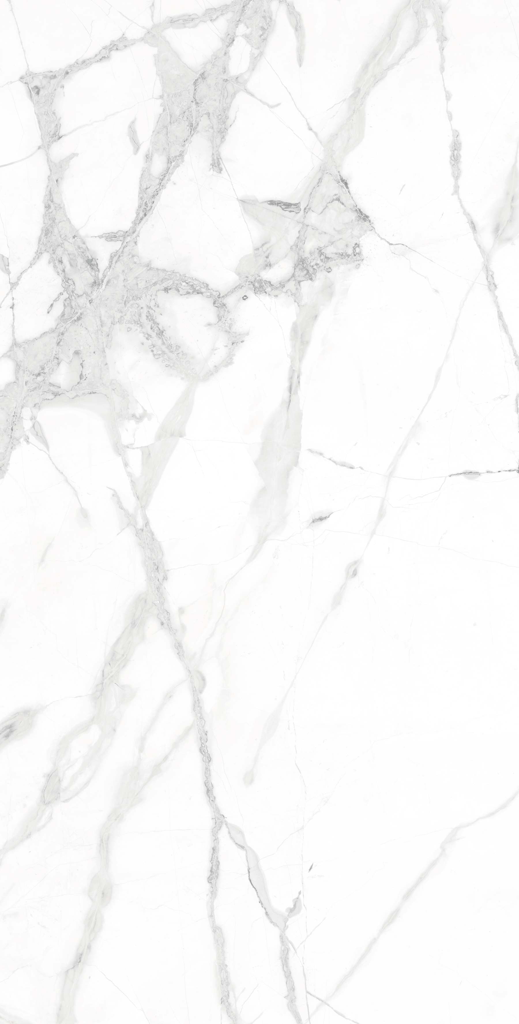 CR4023-A Diverso White Carving 60x120 Arcadia Ceramica