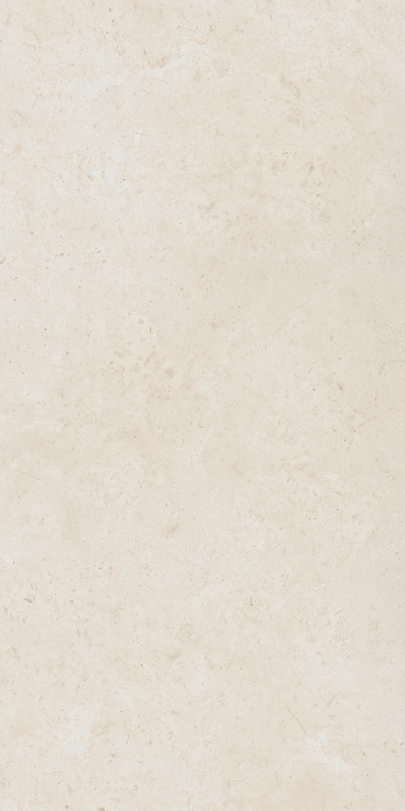 610010004097 Fossil Pure Nat Ret 60x120 Italon
