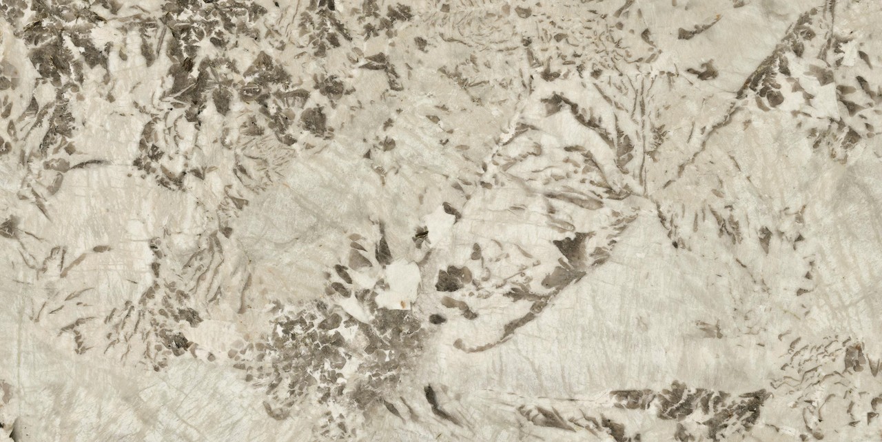 HEAL Marvel Epic Alpinus Matt 60x120 Atlas Concorde фото 3