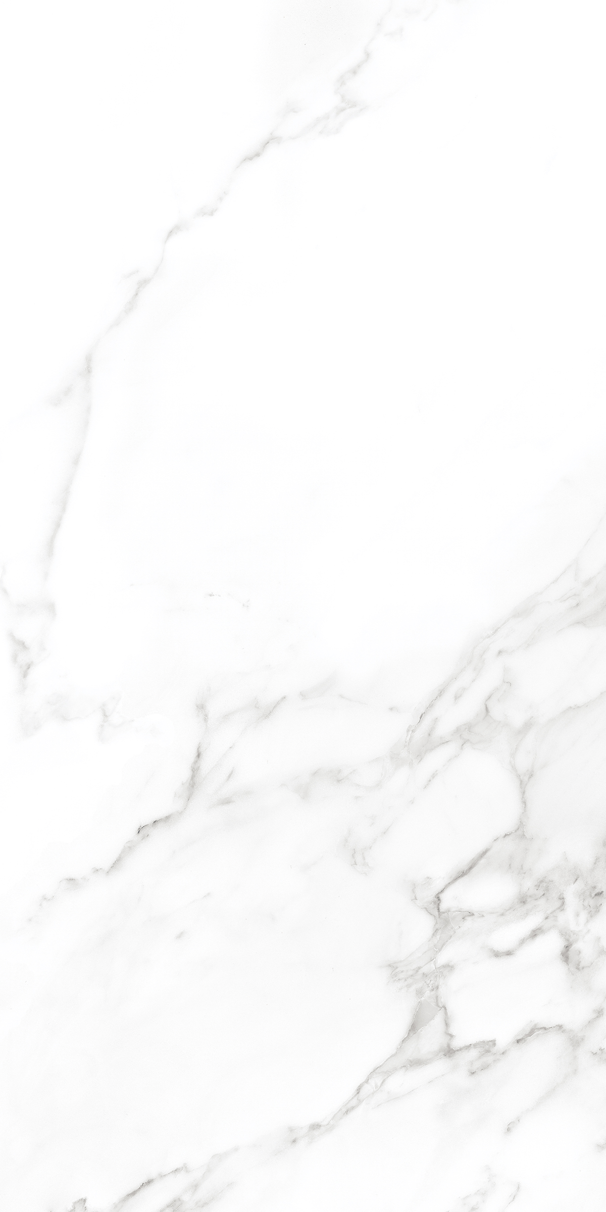 083063 Statuario Lap Ret 60x120 Ava Ceramica