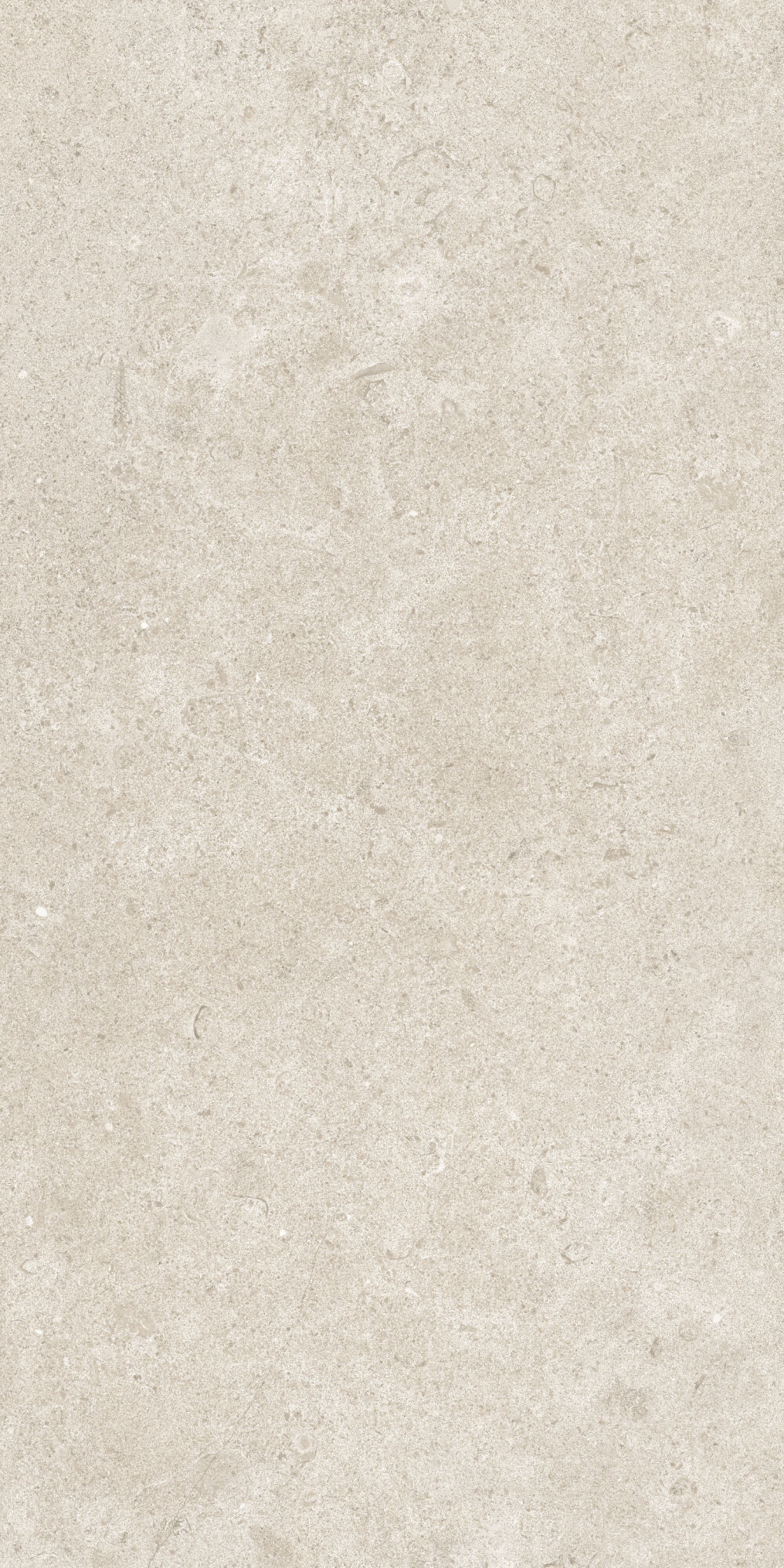 36902 Cluny Beige 4D/50X100X2/A/R 50x100 Peronda фото 2