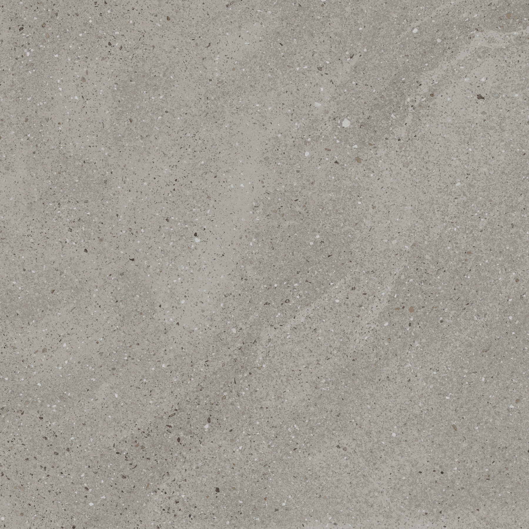 EX-204 Treviso Gris Матовая рельефная R11 60x60 Creanza фото 3