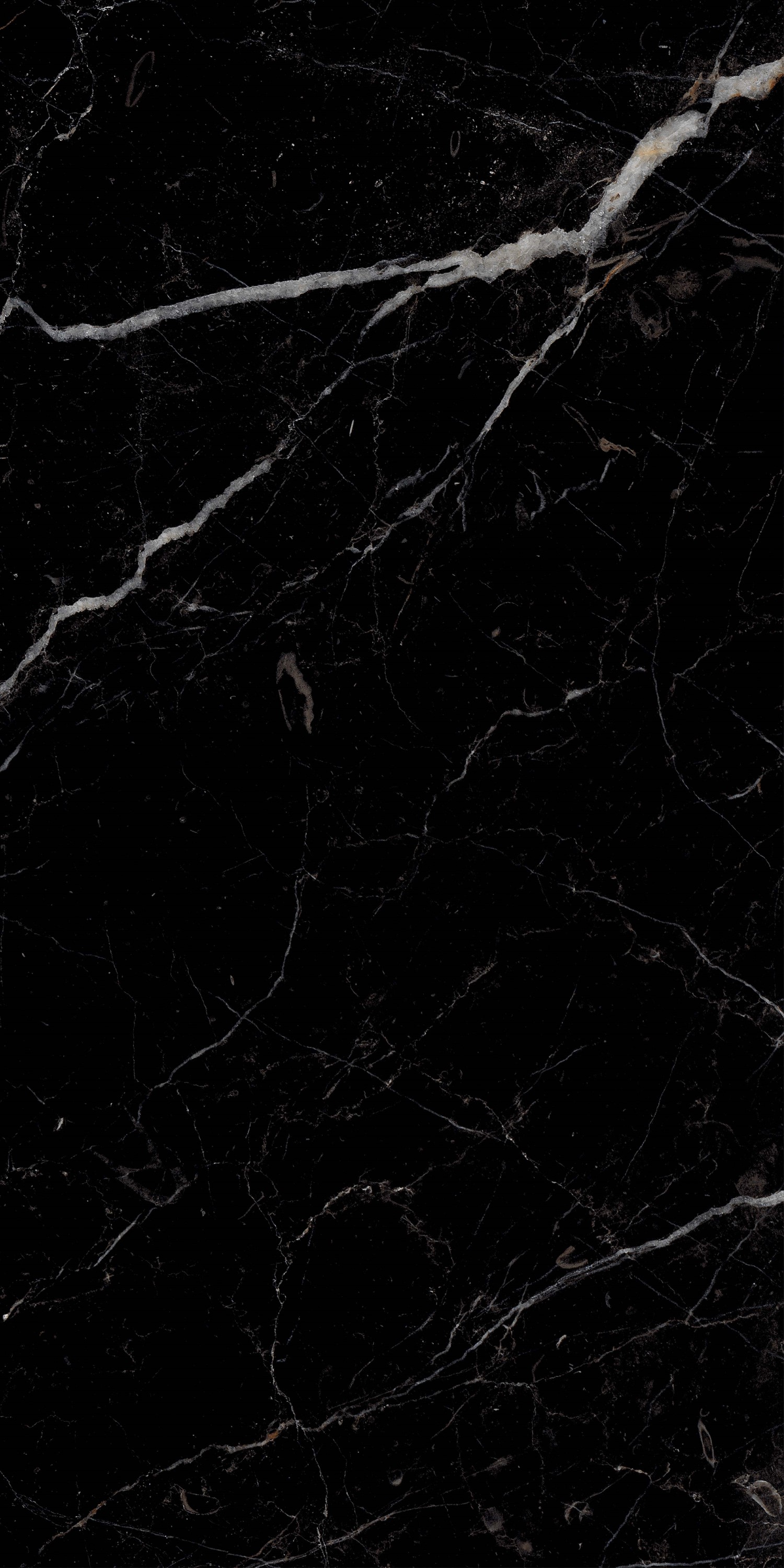 Royal Black Hight glossy 60x120 Realistik фото 3