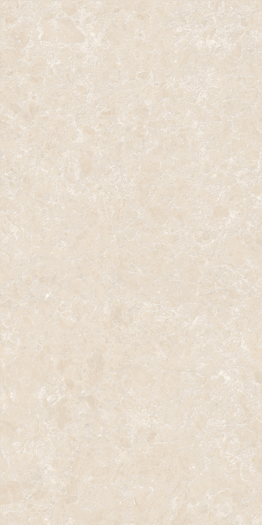 GT1206025402M3GR Shell Бежевый 3D граниль 60x120 Global Tile фото 2