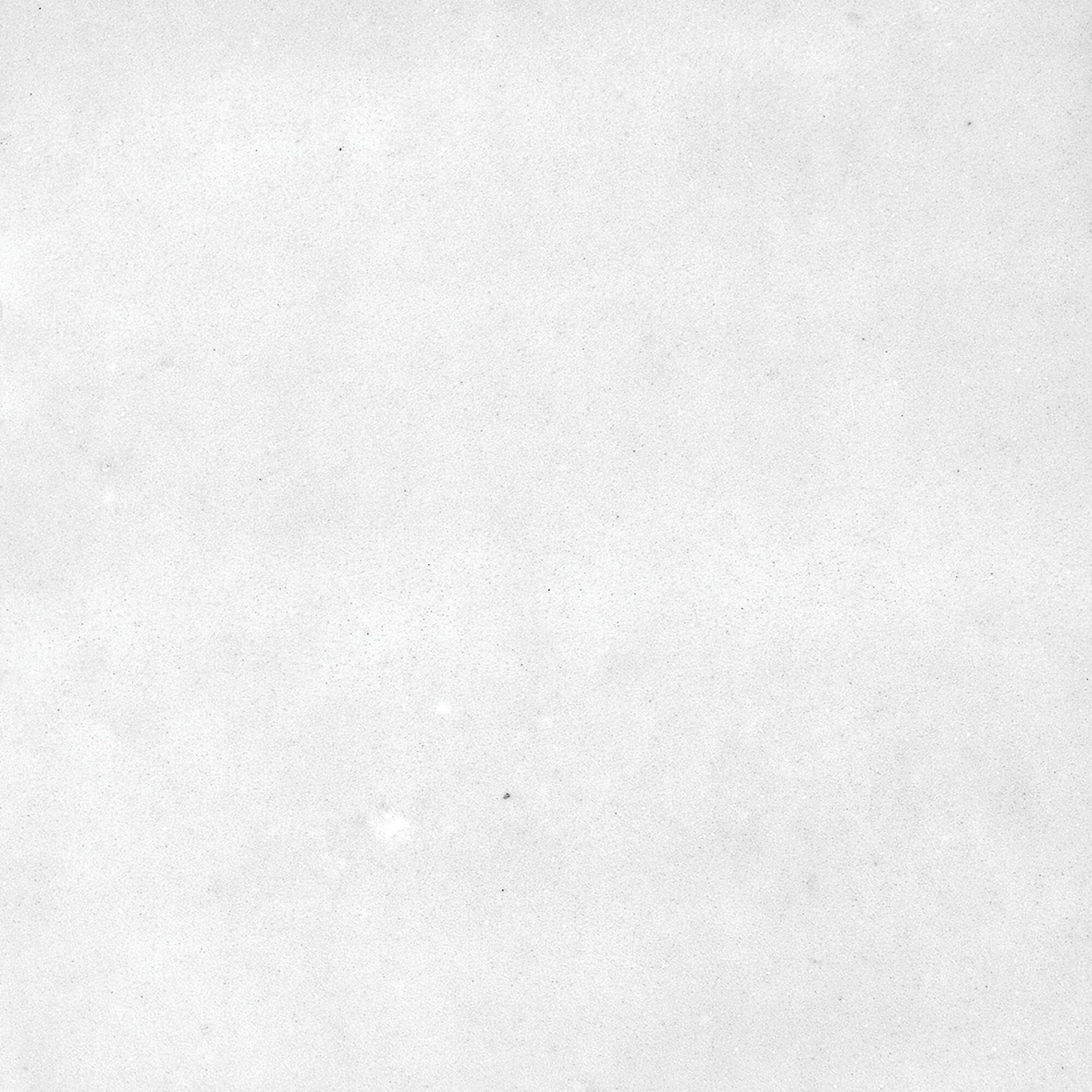 40850 Afra White/10,7X10,7/R 10,7x10,7 Harmony фото 32