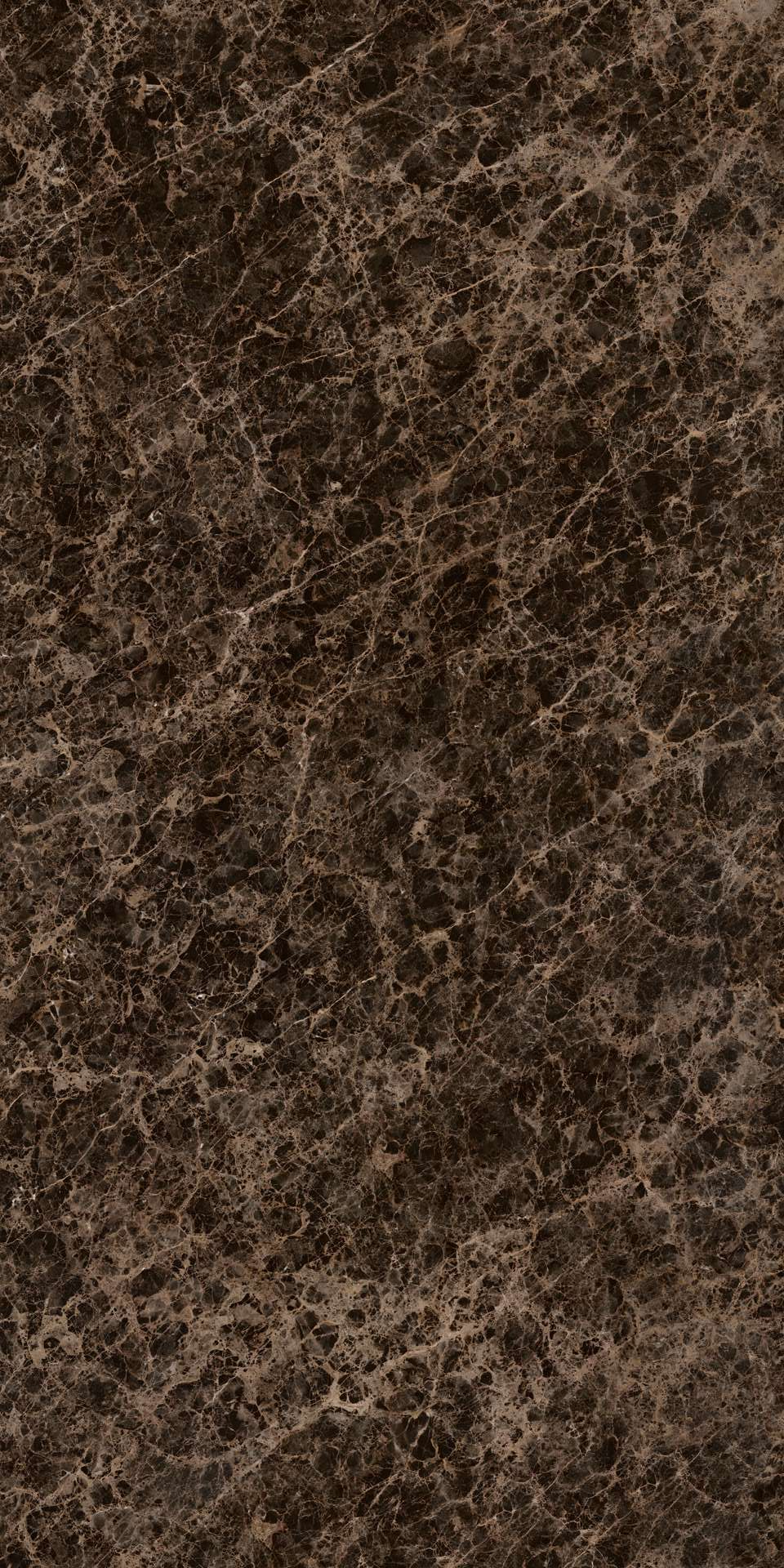 FMAA100U010A2 Emperador Lucido 150x300 IRIS FMG