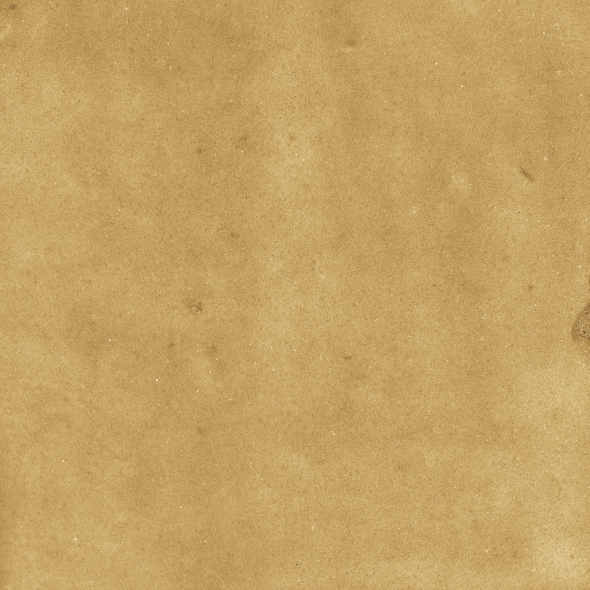 43288 Samira Gold 10x10 Harmony фото 45