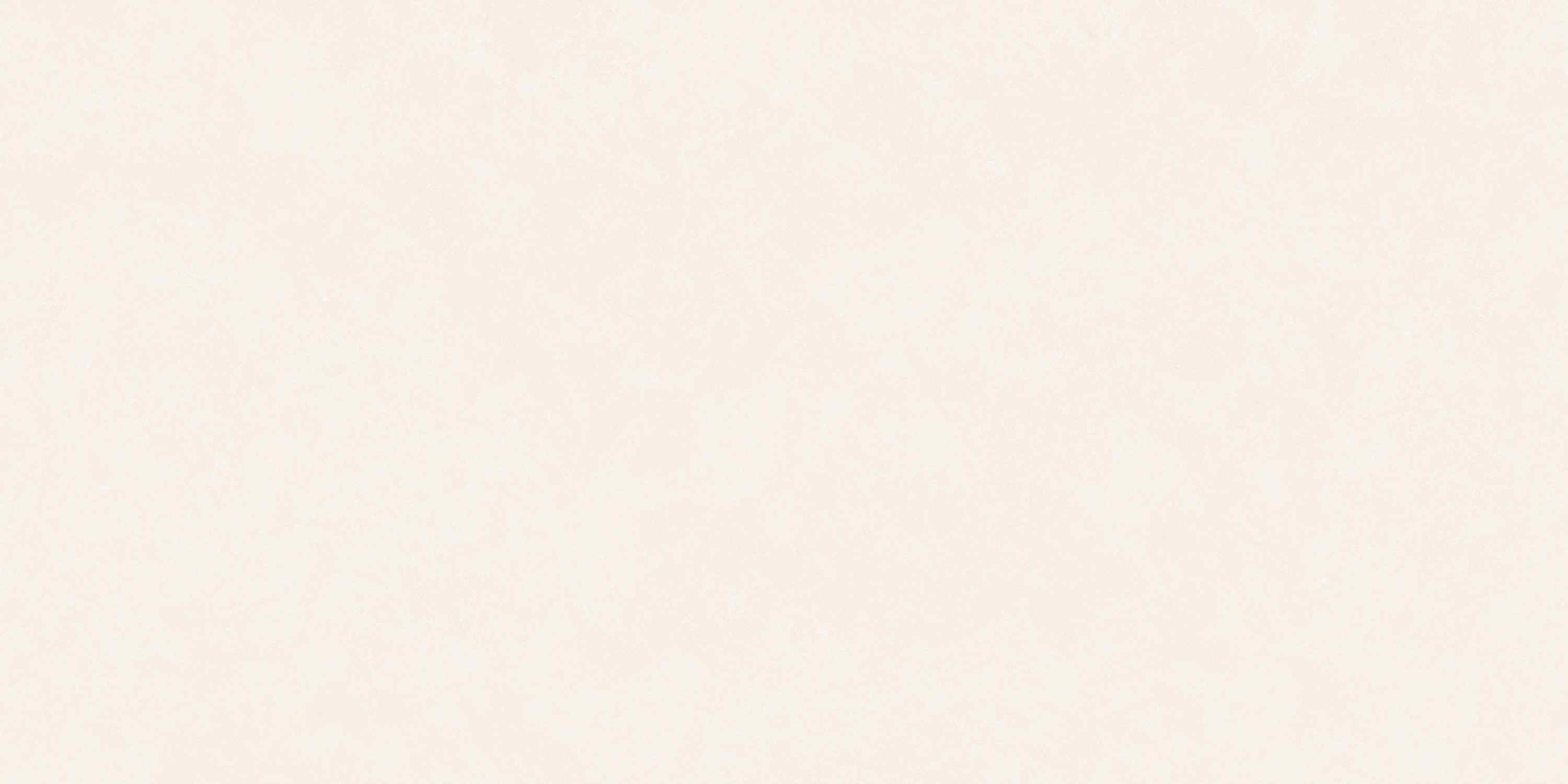 К12502 Simple Light Matt 60x120 EVOtile
