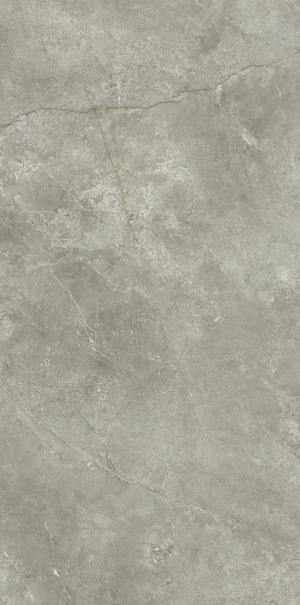 PL612574 Fior Di Bosco Lucidato ret 60x120 Ariostea