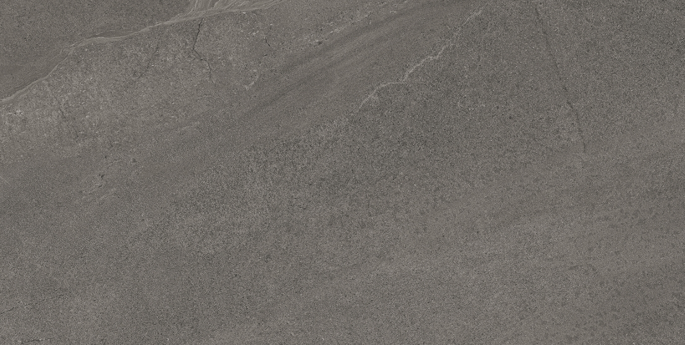 Eddystone Gris Matt 60x120 Geotiles