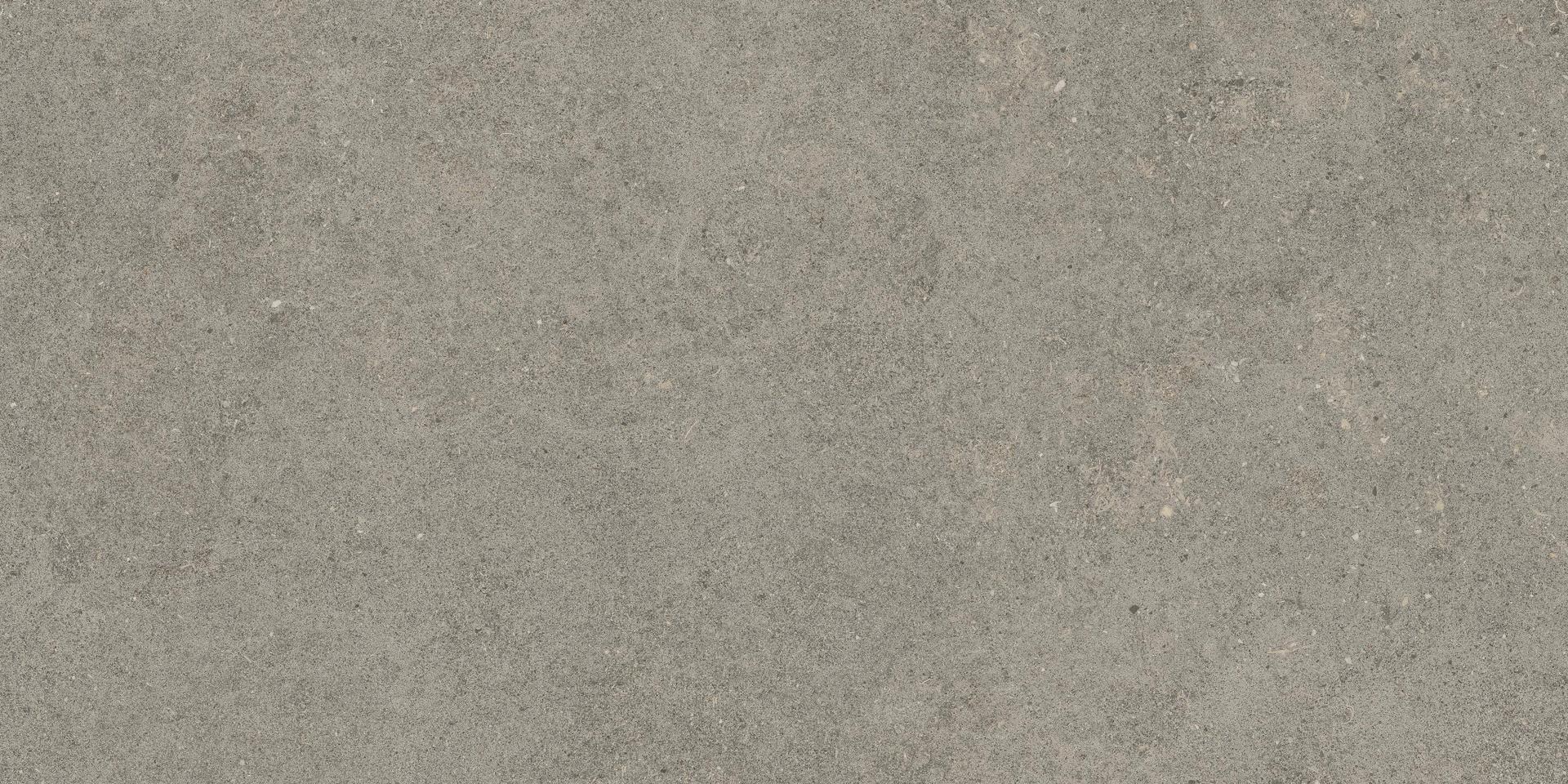 610010004124 Forte dei Marmi Rock Lunar Grey 20mm 60x120 Atlas Concorde Russia фото 2