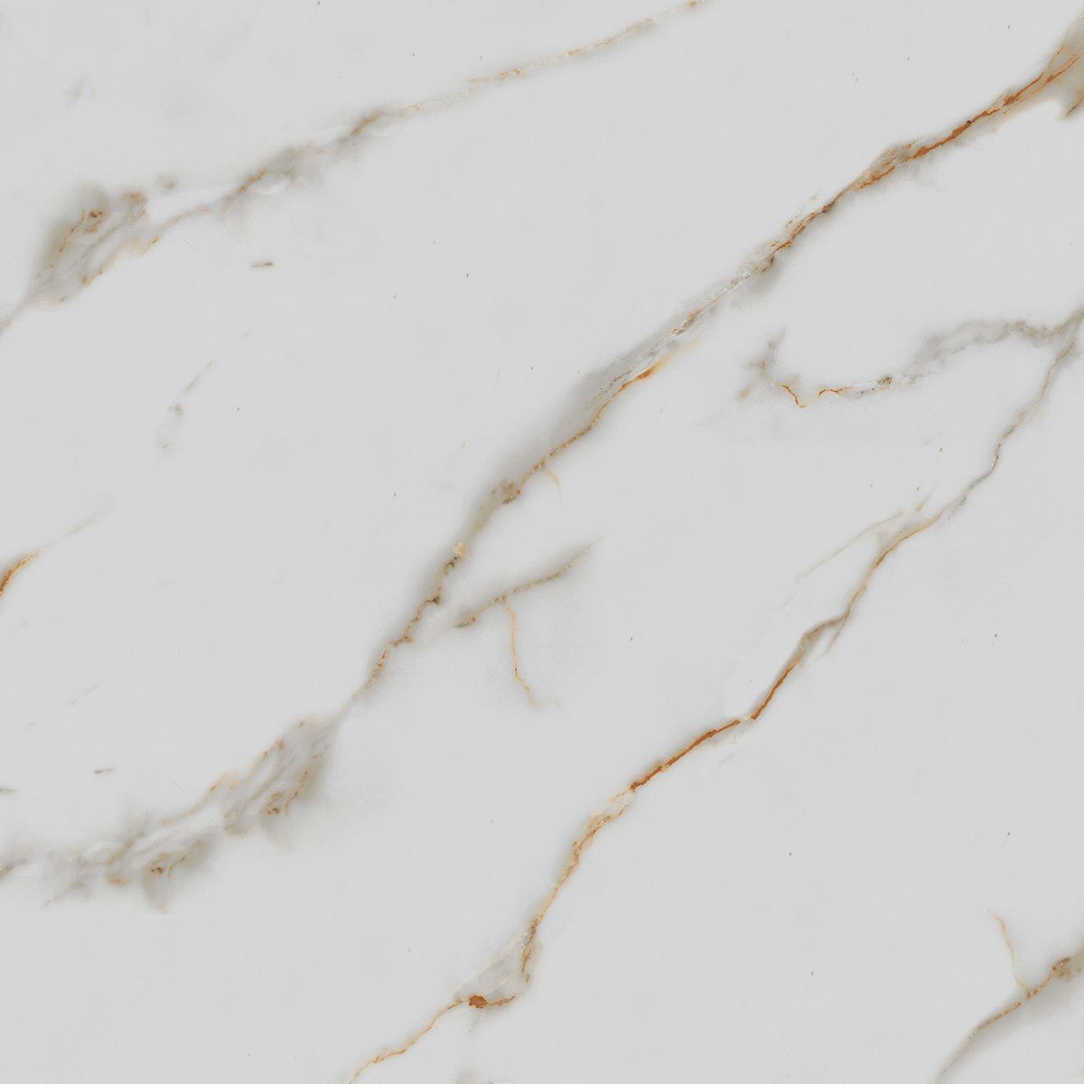 R_PR1003 Calacatta Gold Polished 60x60 Royce