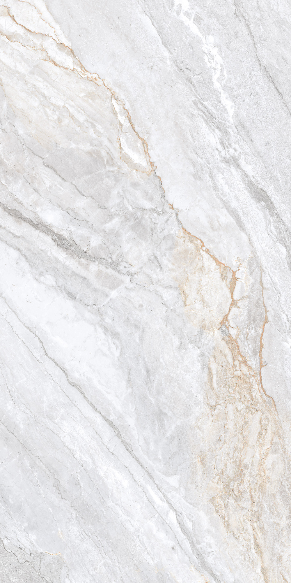 CL4006-A Trivola Bianco Carving Lappato 60x120 Arcadia Ceramica