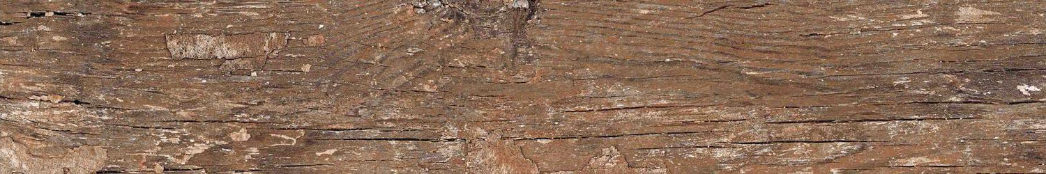 Kiwi Redroot Mat 20x120 Alpas Euro