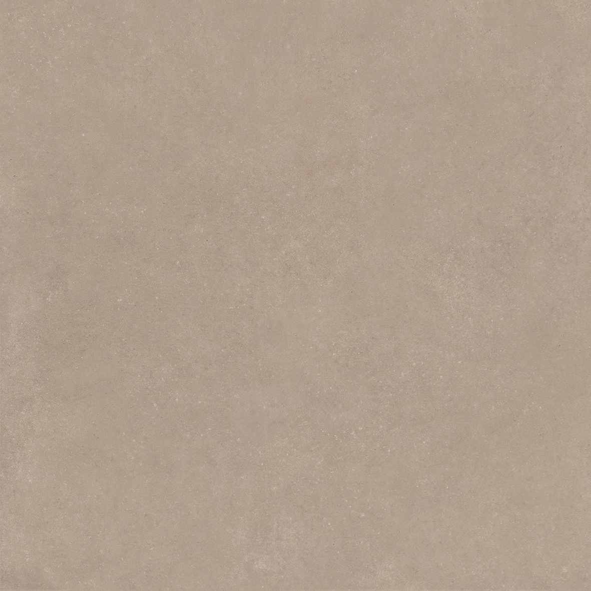 4101182 Nok Taupe 120x120 41ZERO42