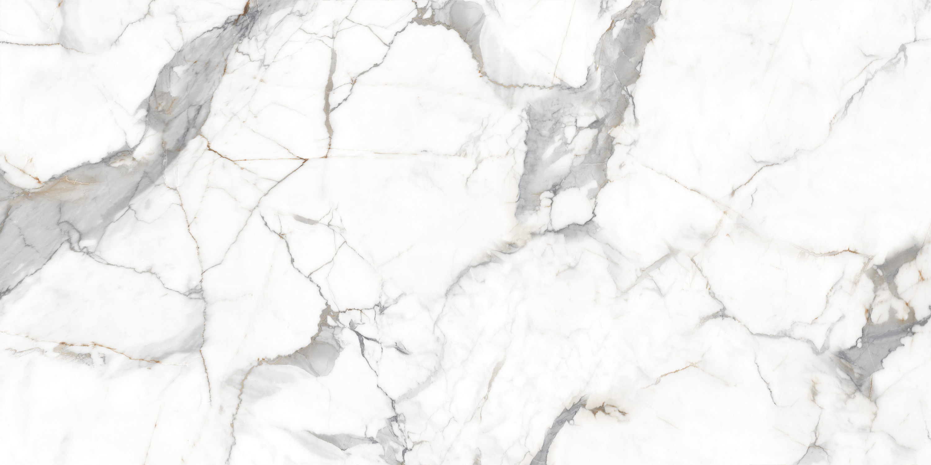 Statuario Raga PGVT 60x120 Casati Ceramica