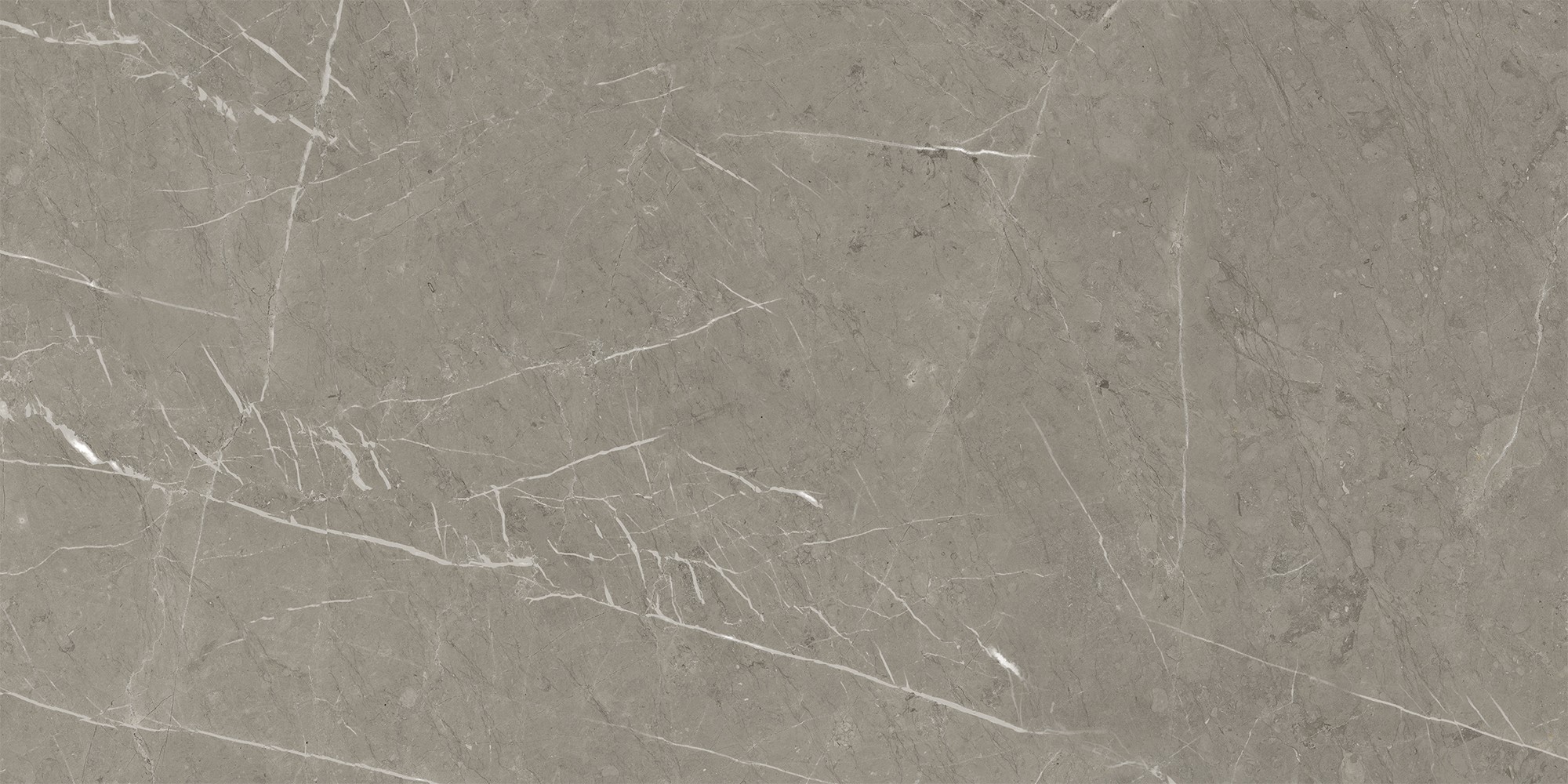 K-2202/LR Skala Grey 600x1200x10 Kerranova