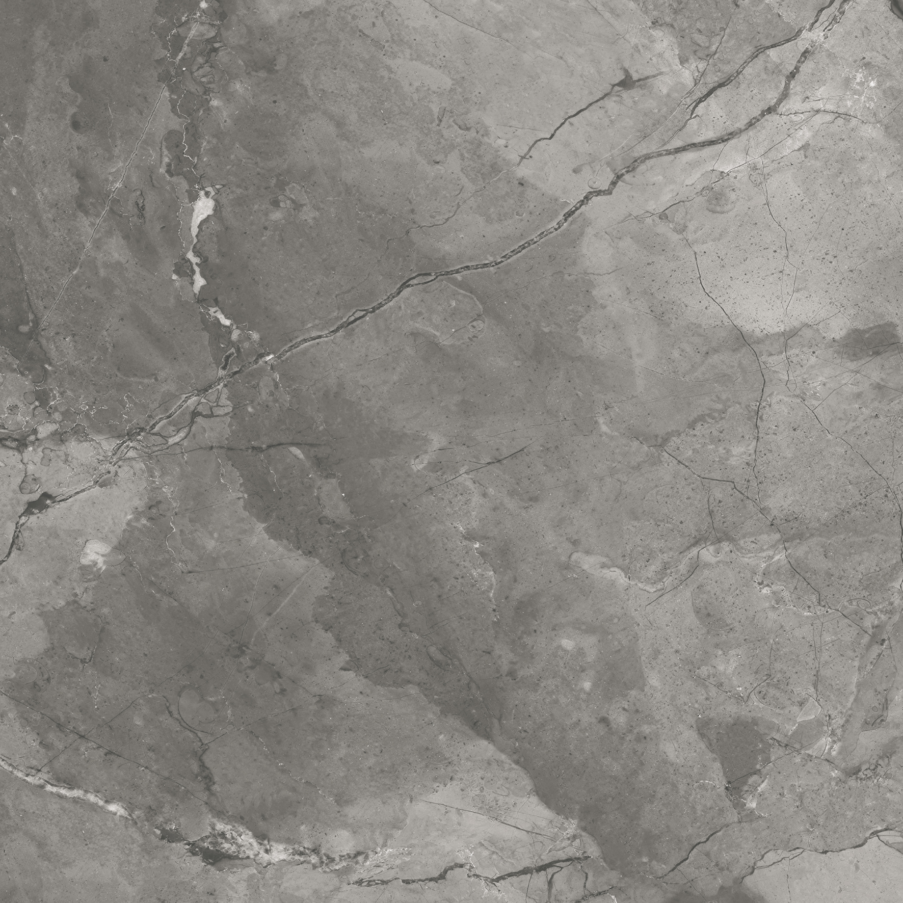 CR6020-A Bismanto Grey Carving 60x60 Arcadia Ceramica фото 6