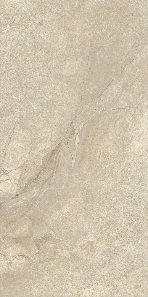 LGXAL25 Anthology 02 Desert Nat. RT 9.5mm 60x120 Lea Ceramiche