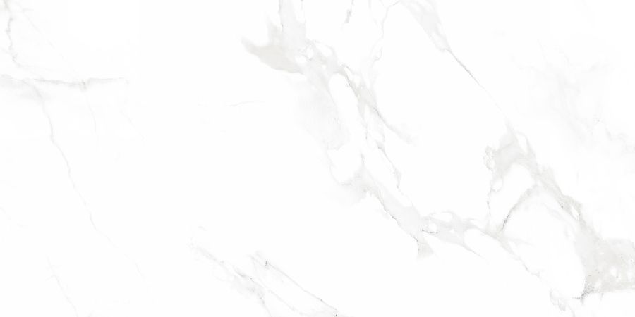 N12003 Venus Bianco Polished 60x120 Neodom