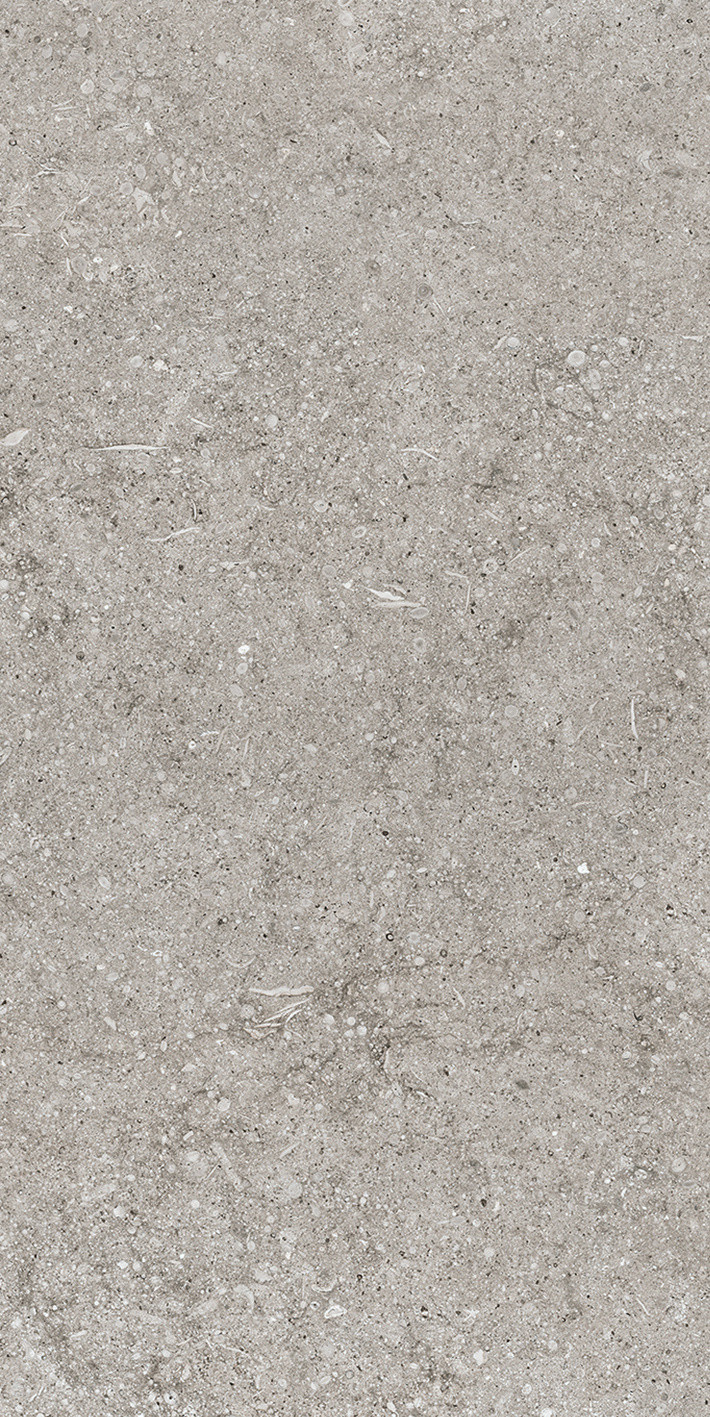 768342 Sensi Grey Fossil Ret 40x80 Casa Dolce Casa