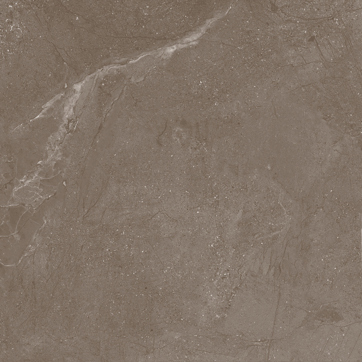 Нобл Мокка ПРО коричневый матовый R11/A Бархат 60х60 Laparet фото 7